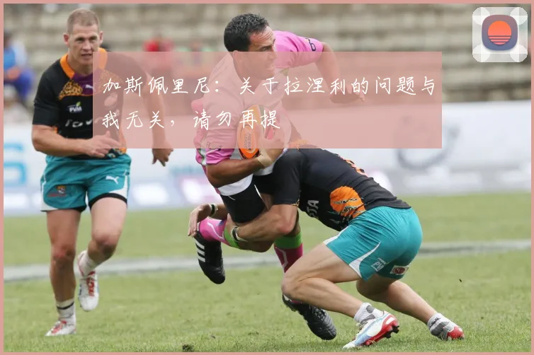 加斯佩里尼：关于拉涅利的问题与我无关，请勿再提