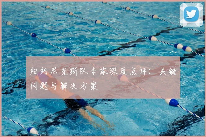 纽约尼克斯队专家深度点评：关键问题与解决方案