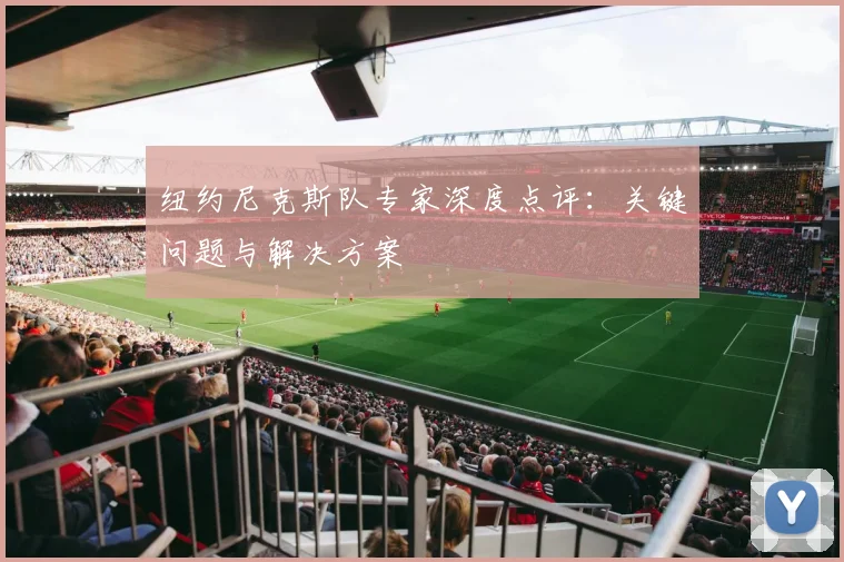 纽约尼克斯队专家深度点评：关键问题与解决方案
